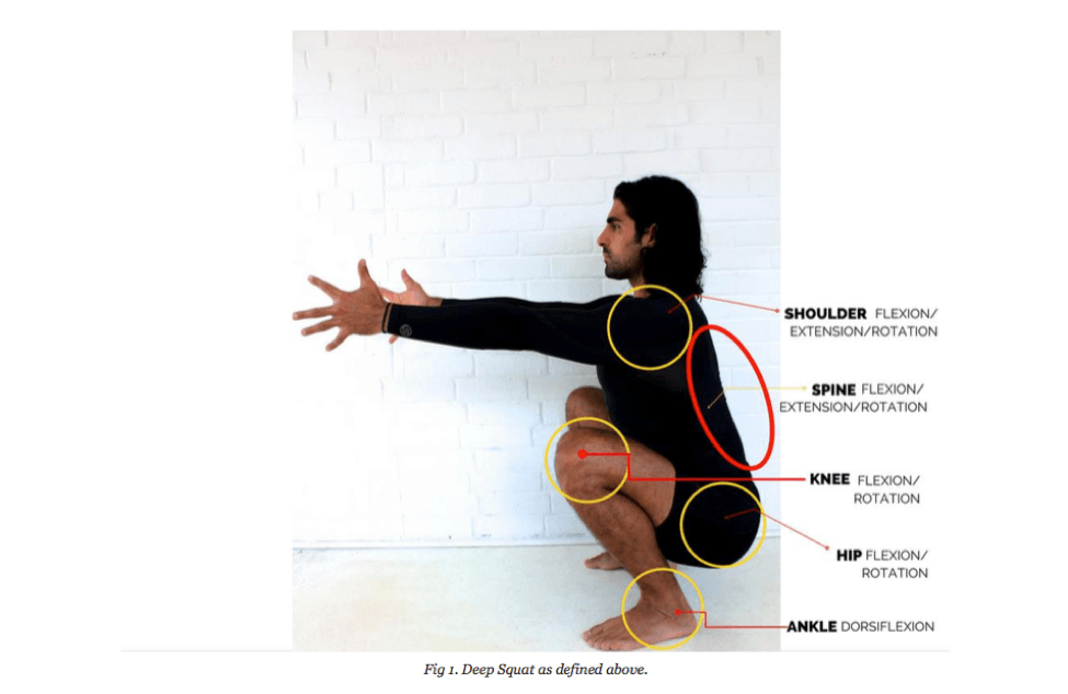 how low can you squat