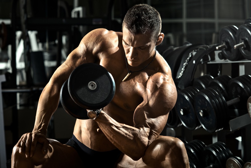 3 Rules For Building Bigger Arms