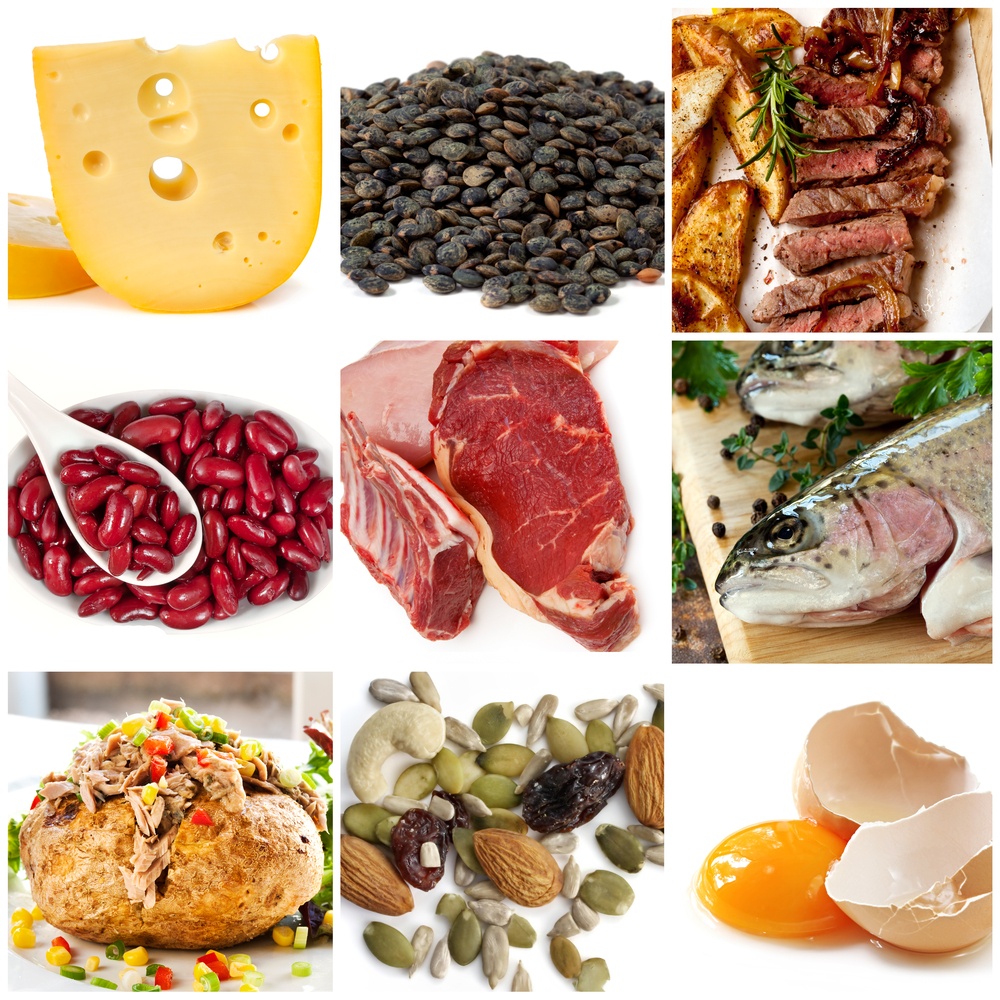 The Protein Guide: How Much Protein Do You Need?