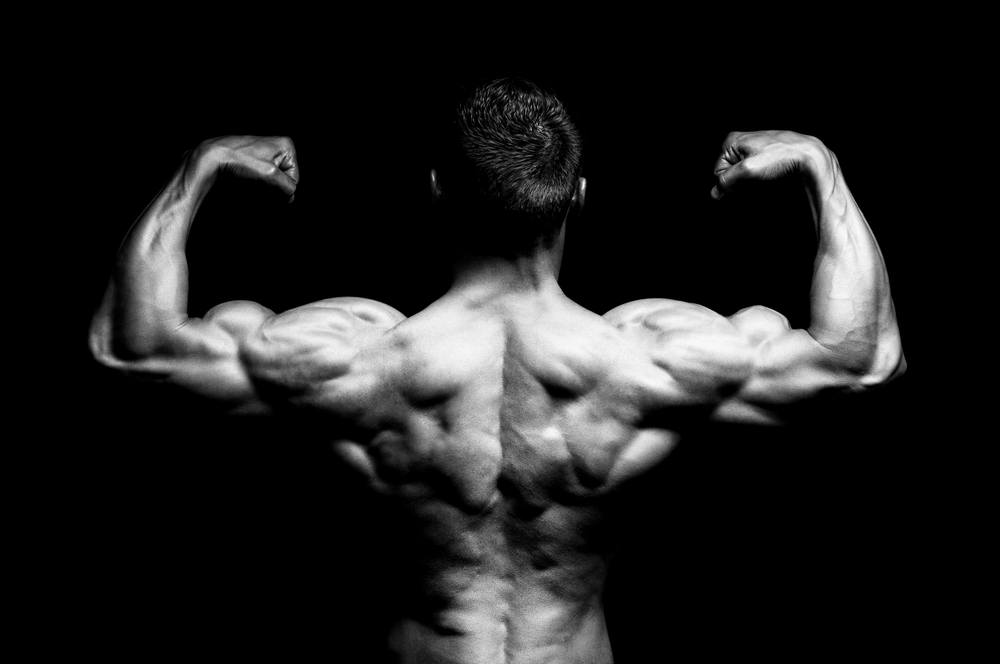 The 4-Step Biceps Builder