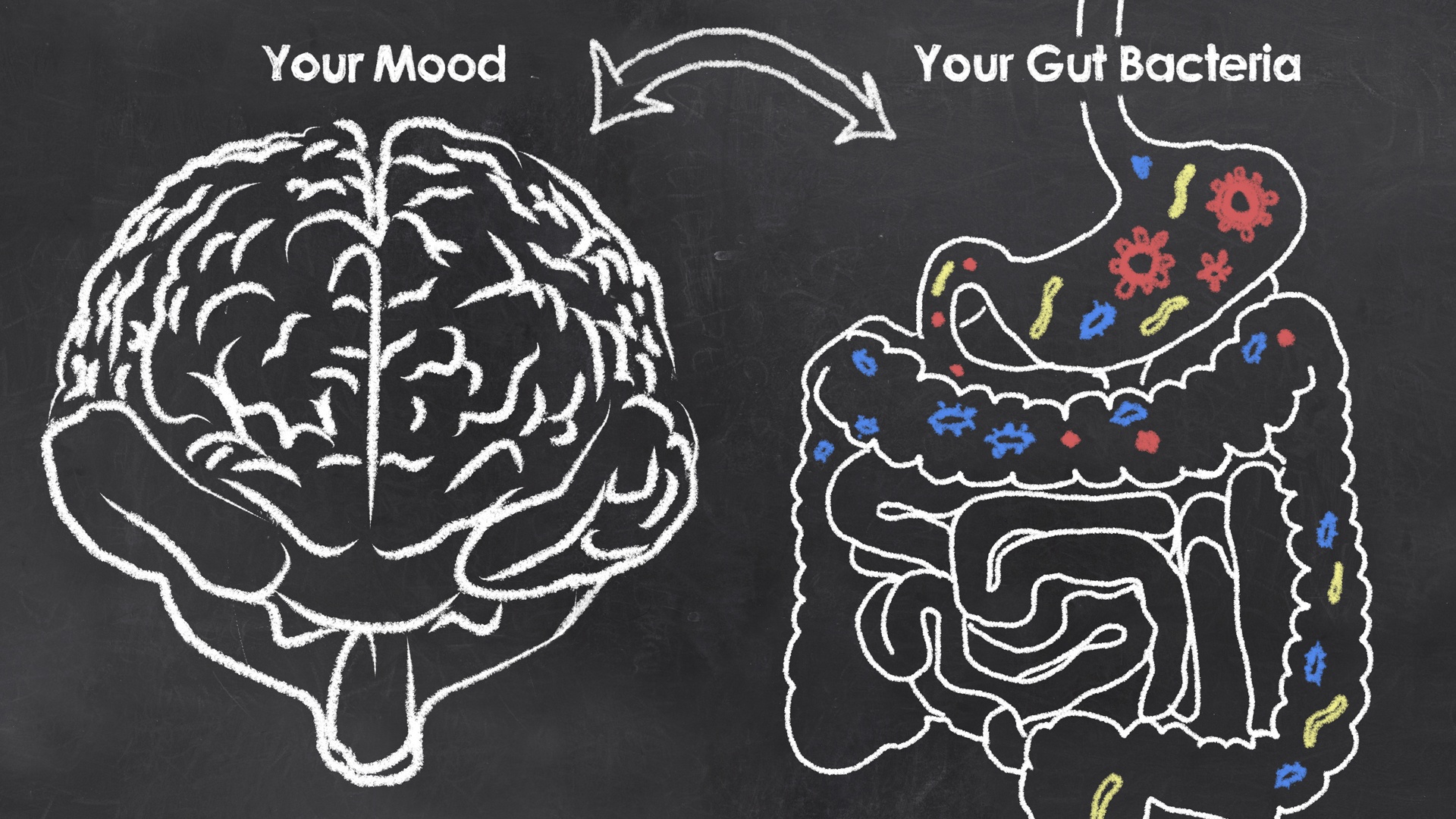 Your brain affects your gut, and your gut health affects your brain.