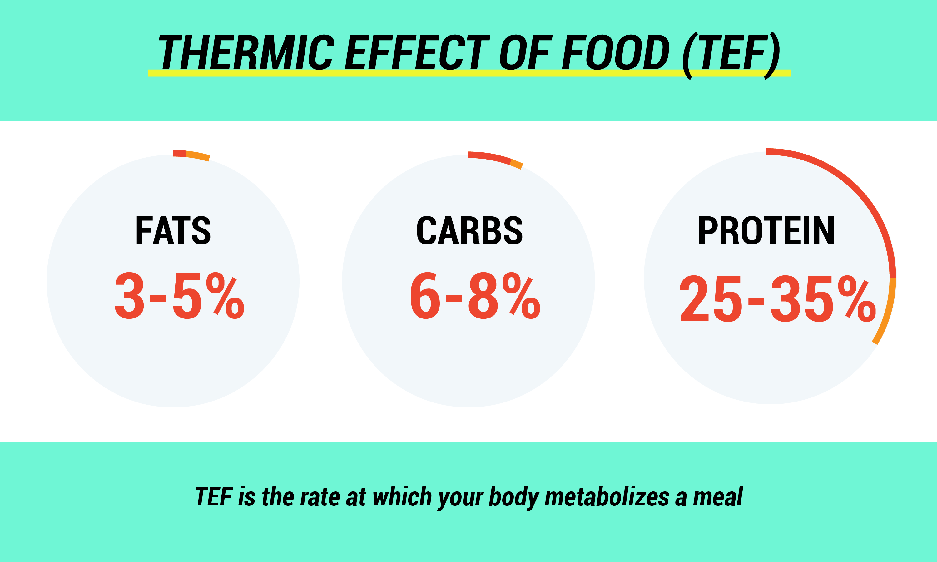 infographic of the different thermal effects of food