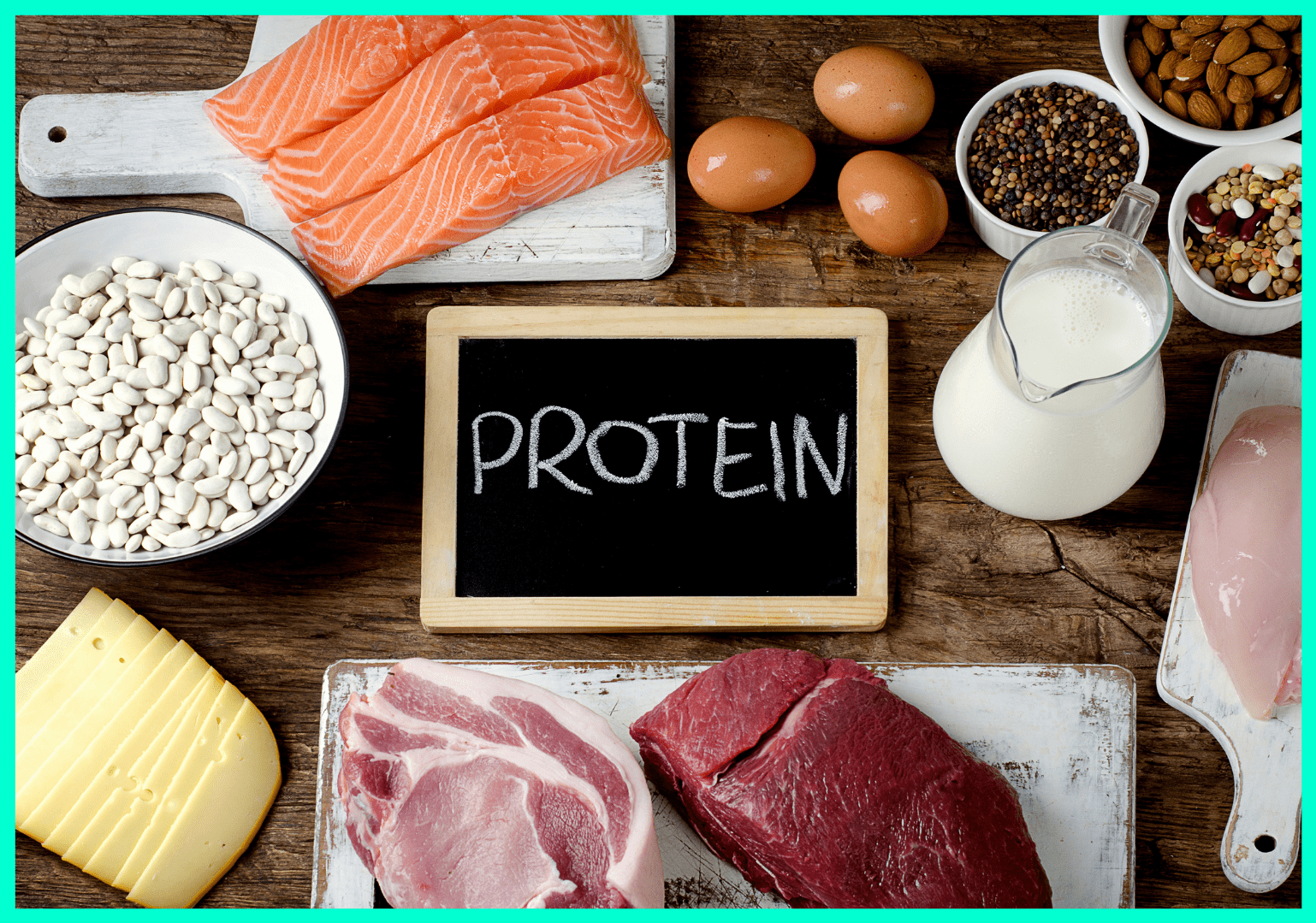 various protein sources