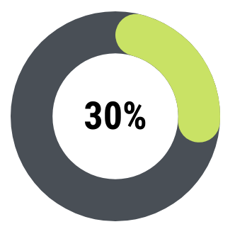 30% pie chart