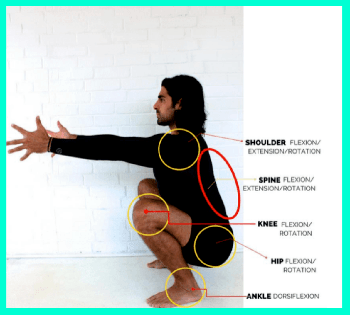 proper squat form diagram