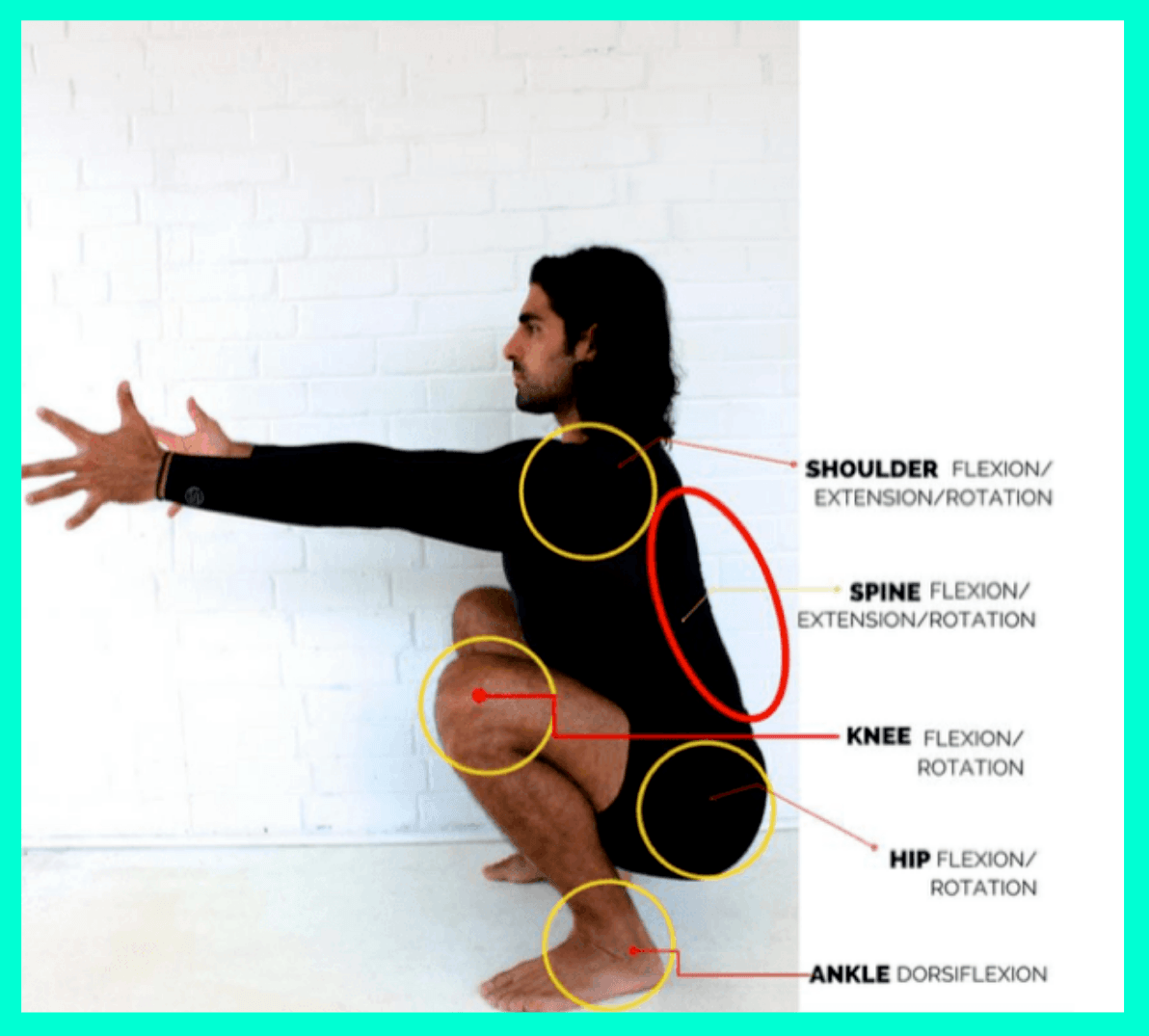 Squat Form Diagram Learn How To Perform The Bodyweight Bulgarian Split