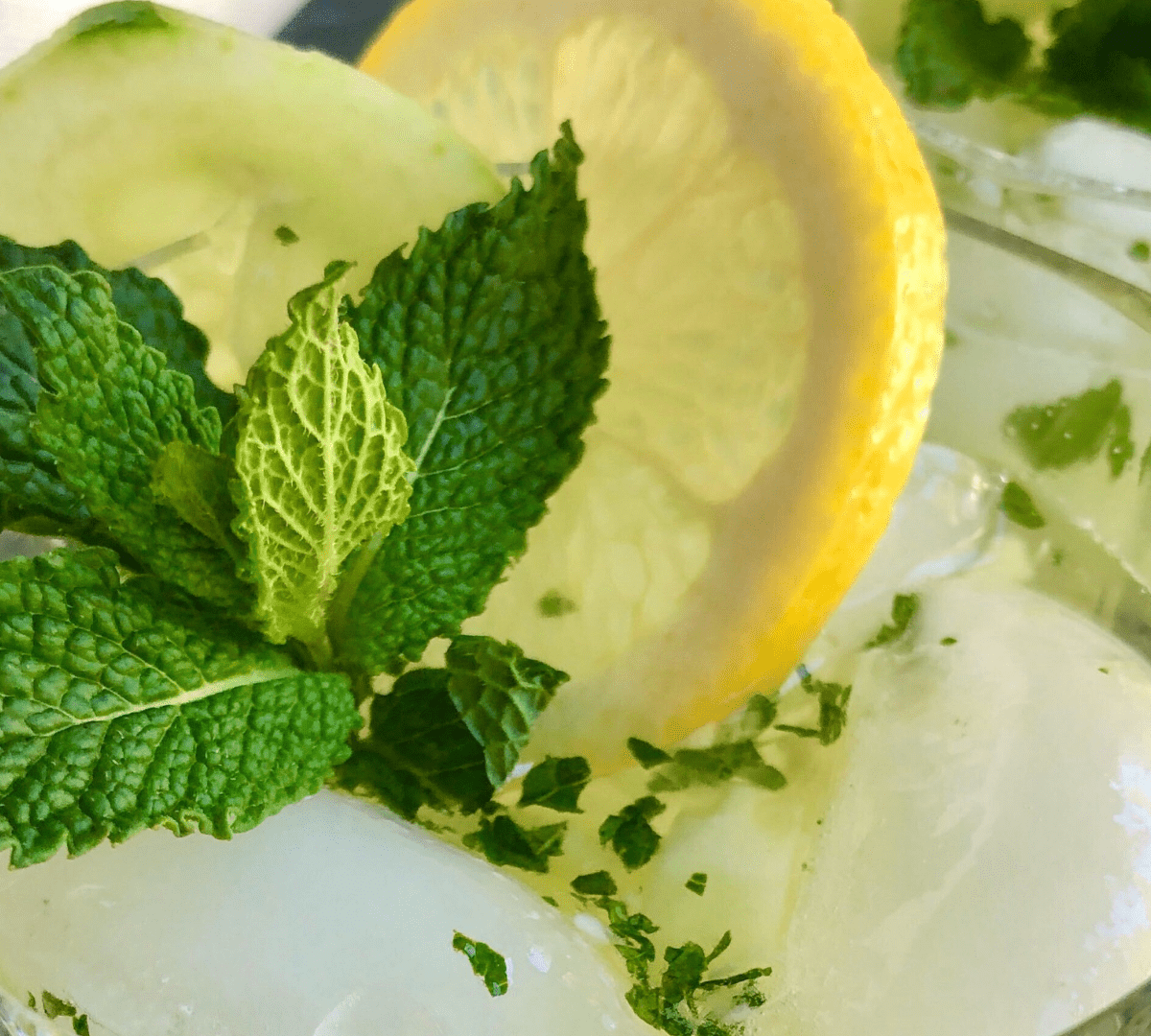 Cucumber Lemonade Mojito (with or without the alcohol)
