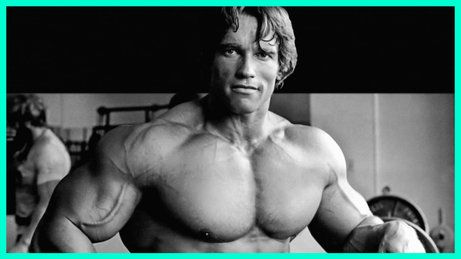 arnold schwarzenegger bodybuilder