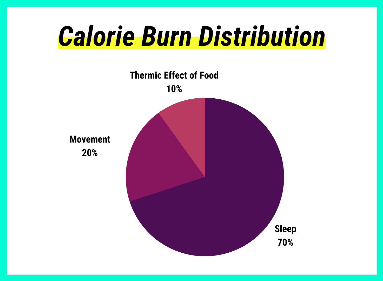 calorie burn distribution pie chart