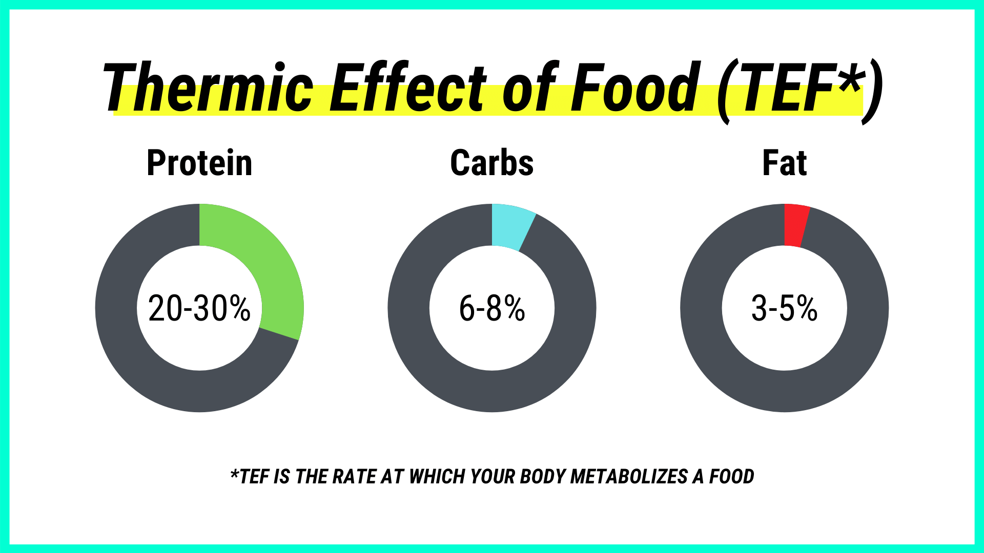 thermic effect of food