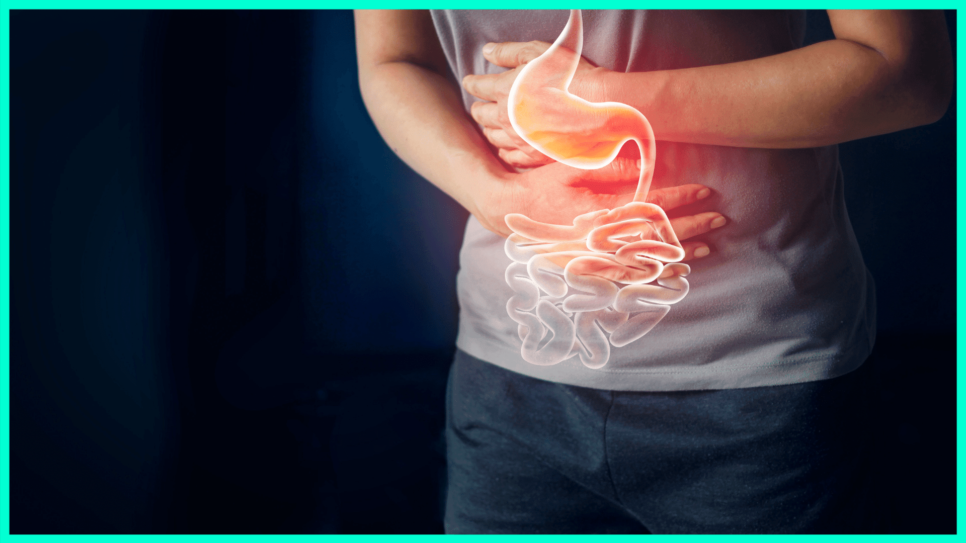 gut health and inflammation
