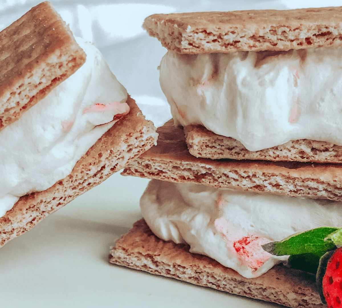 Frozen Yogurt Sandwiches