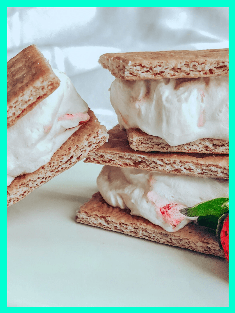 frozen yogurt sandwiches