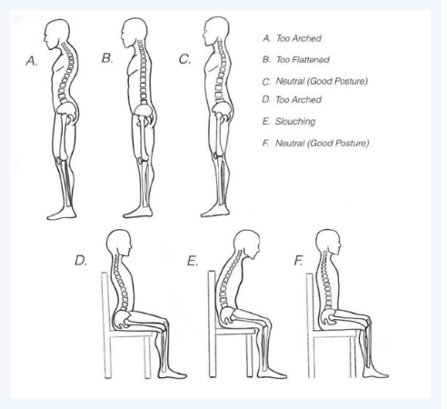 neutral spine position