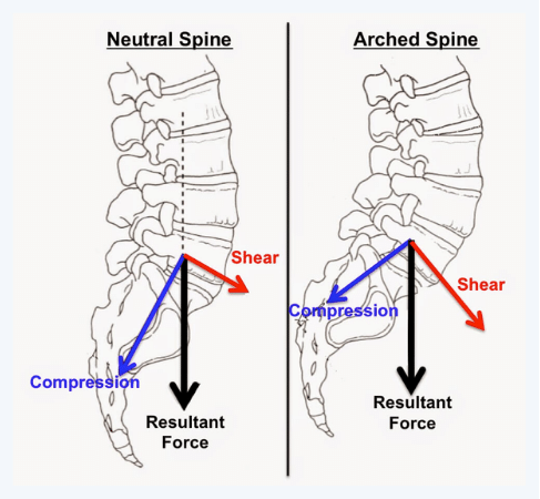 neutral vs arched spine